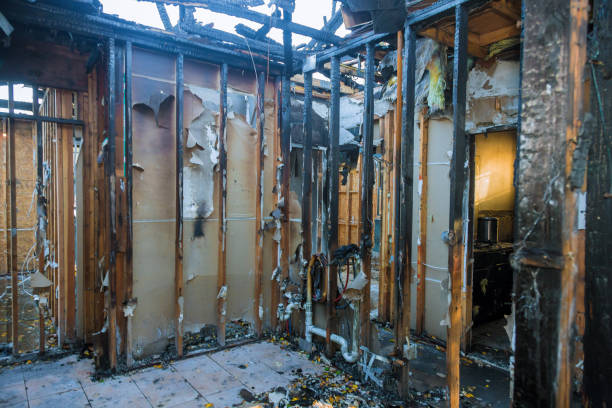 Professional Structural Rebuild technician working in Fairfax Station, VA